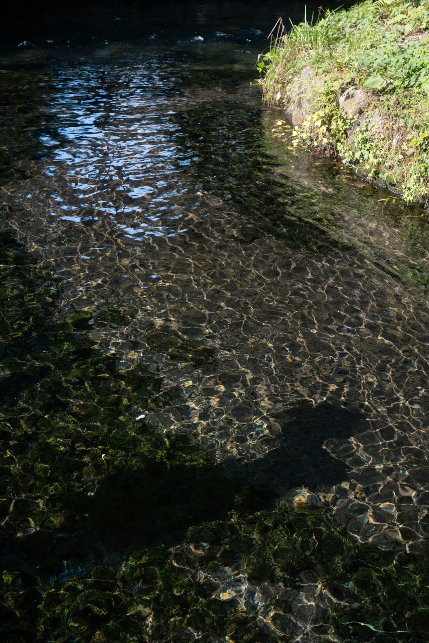 Clear blue-green water over rocky riverbed, Japan — Photo on Unsplash