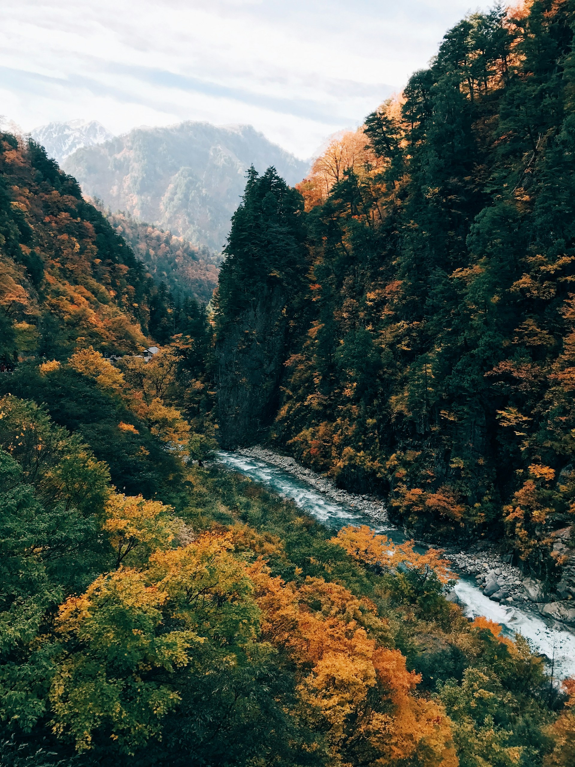 A river flows through an autumn forest gorge in rural Japan. Photo by Fred Rivett on Unsplash.